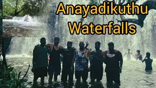 Anayadikuthu waterfalls | Thodupuzha | Kerala Best waterfalls | Anayadikuthu waterfalls in tamil 