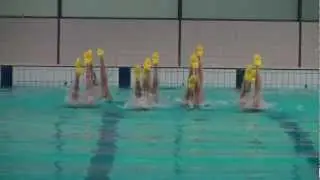 Demo Thematic Team Free NED, preparing for 2012 FINA World Trophy