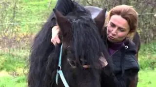 1000 KM A CHEVAL EXTRAIT 1