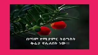 በጣም የሚያምር ትግስት ቅሬታ የሌለበት ነዉ