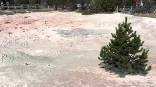 Lower geyser basin Yellowstone