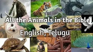 ALL THE ANIMALS IN THE BIBLE (English & Telugu) || Glory Ministries||