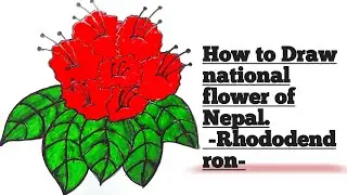 How to Draw a Rhododendron Flower (Step by Step) #flowers #rhododendron