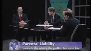 Chicago Criminal Defense Attorney | 312-566-9900 | Pissetzky & Berliner, LLC