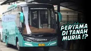 NEW SHANTIKA FINISHING AVANTEBARU 😋 PELOPOR BUS MEWAH DI TANAH MURIA