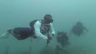 Drive and Dive - Fujairah Deep Wreck and Dibba Reef Dive (Snoopy Island and Dibba Rock)