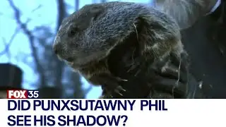 Groundhog Day 2023: Punxsutawney Phil makes annual weather prediction