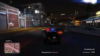 Grand Theft Auto V I did not get his license nor his registration