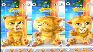 Talking Ginger 🐈 | Talking Cat music so funny 😆 | Talking cat eat 🥦🍒🍟🥨🥐 | Talking Ginger Cat 2