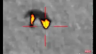 Flir PTS 736 coyote hunting