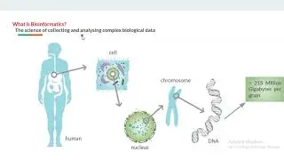 Molecular docking in drug design