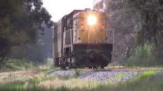 4908 takes the three AK cars to Boree Creek 11th October 2022. A welcome return to the branch.