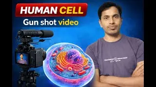 Human Cell | मानव कोशिका की संरचना और कार्य | JTET, TET, Class 6 to 10 Biology | SM Classes 1111