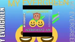 MY EVERGREEN FUTURE C M D NY VYJA AUDIO