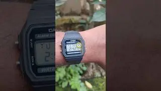 Casio F-94WA-8DG #casiowatch #casio #F94 #watch #fashion