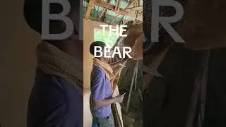 The Bear bar sculpture by Banjo Sheba 