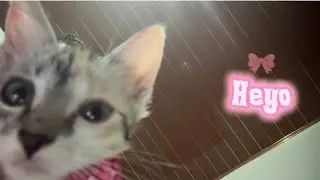 Привет!