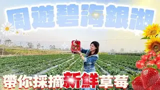 珠海樓盤｜灣區樓盤｜碧海銀湖｜原生態草莓園！週末一家大細齊齊親近大自然！！