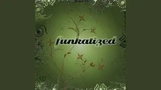 Funkatized