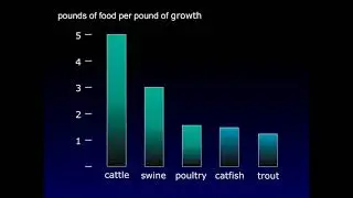 U.S. Aquaculture: Our Sustainable Food Solution- Aquaculture and the Environment Dr. Craig Tucker