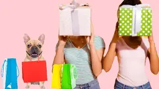 BEST Gifts for Dog Lovers (that you&rsquo;ve never thought of)