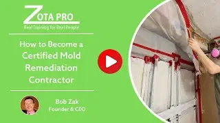 How to Become a Certified Mold Remediation Contractor | ZOTA Professional Training