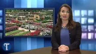 Texas Rose Festival begins today