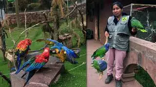 Peru. Part 1