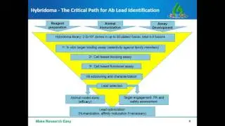 Hybridoma generation for therapeutic antibody drug discovery and applications