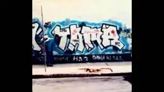 Mental Violence 