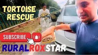 Road Rescue: हमनें सड़क से कछुआ बचाया &mdash; पूरी कहानी #कछुआ #TurtleRescue #AnimalRescue #RoadsideRescue