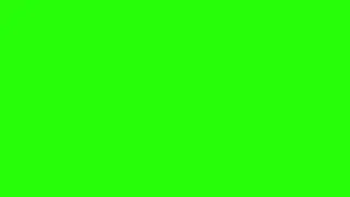 Green Screen HD - 30s Chroma Key Video pro Emendo