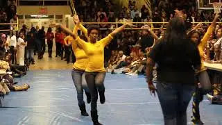 gamma chapter sigma gamma rho run 2 | ncat | stroll competition | 01/27/2011