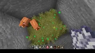 MINECRAFT-Animal Zoo build