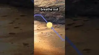 Ocean Breathing for Stress (4-1-4-1)  #breathe #breathingexercise #breathingforanxiety  #breathing