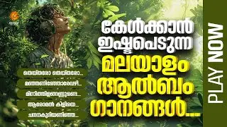 കേൾക്കാൻ ഇഷ്ടപ്പെടുന്ന മലയാളം ആൽബം  ഗാനങ്ങൾ |  MP3 JUKEBOX  2025 |  ESSAAR FOLK MUSIC