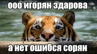 Побеждаю мунлорда каждый день, пока не выйдет террария 1.4.5 (день 689)