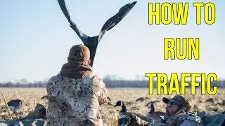 How To Traffic Geese And Ducks