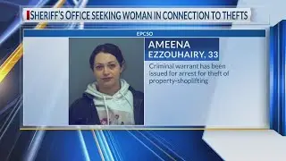 Sheriff&rsquo;s Office seeking woman in connection to thefts