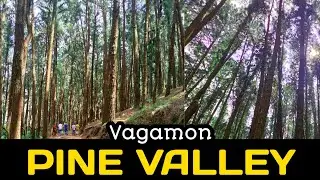 Pine Valley Vagamon l Idukki Tourism