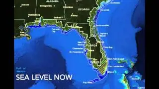 Save the Everglades