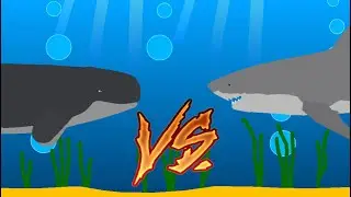 False Killer Whale vs Great White Shark (Stick Nodes Animation)