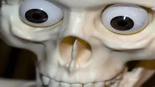 Skele Spin