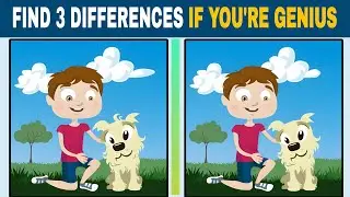 Find out the Differences if you are GENIUS Enough | Puzzle Spot @captainbrain