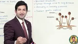 Asexual & Sexual Reproduction in Fungi | Spores, Plasmogamy, Karyogamy| Biology | Prof. Abdul Rehman