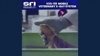 Veterinary X-ray System | VXS-115 Veterinary X-ray System | Made in USA by Source-Ray