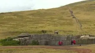Milking the Rhino