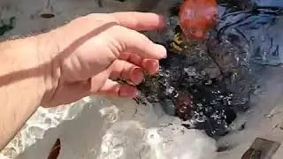 clean your bilge pump.