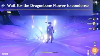 Wait for the Dragonbone Flower to condense | Enkanomiya