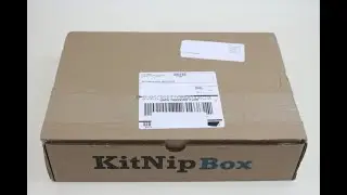 KitNipBox October 2019 Cat Subscription Box Unboxing + Coupon